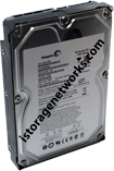 Seagate ST31000340NS